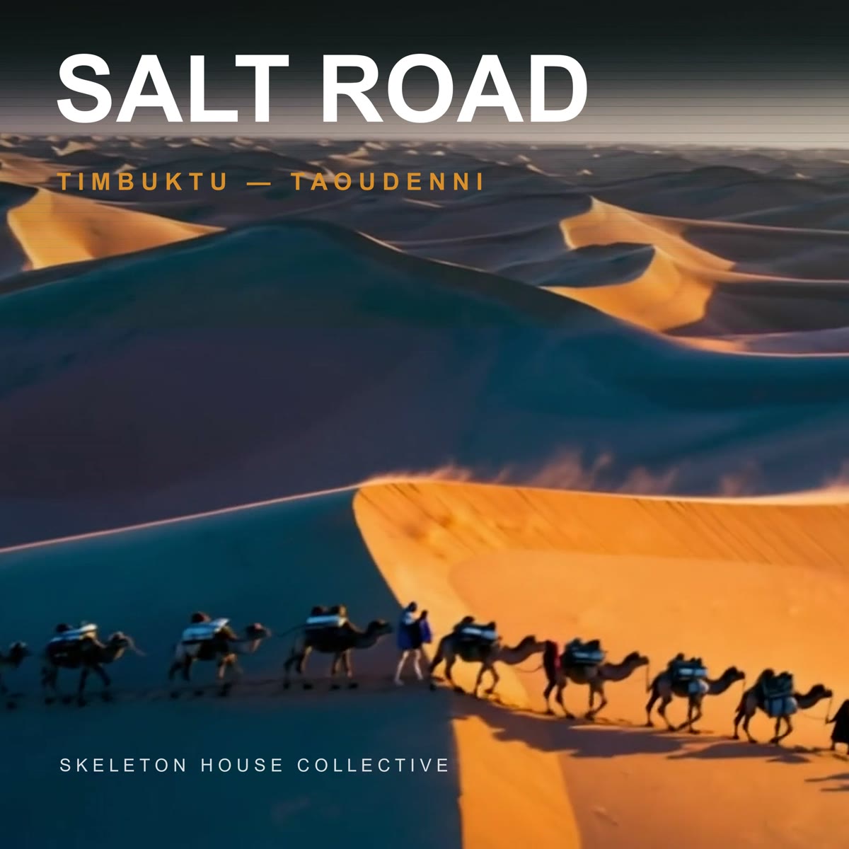Salt Road album cover
